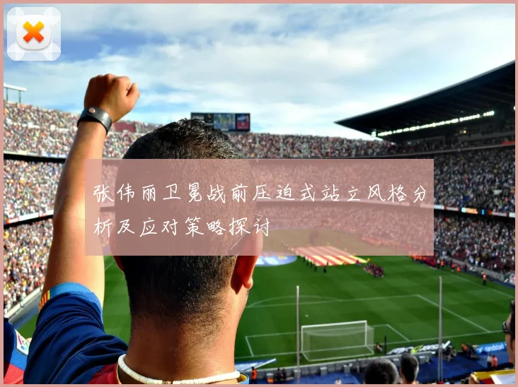 张伟丽卫冕战前压迫式站立风格分析及应对策略探讨